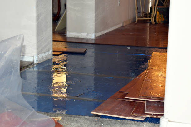 Professional Water Damage Restoration technician working in Dunkirk, IN